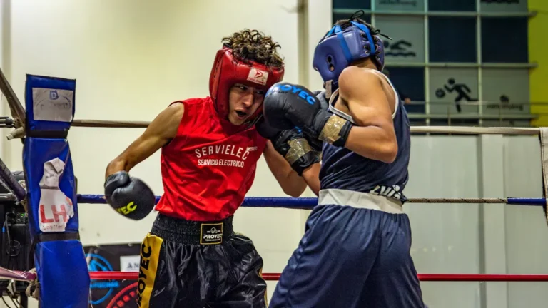 Key Boxing Punching Techniques: Jab, Cross, Hook, Uppercut