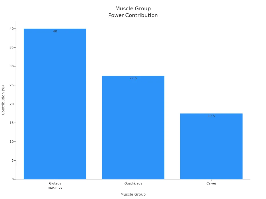 Bar chart showing muscle group contributions to basketball vertical jump power